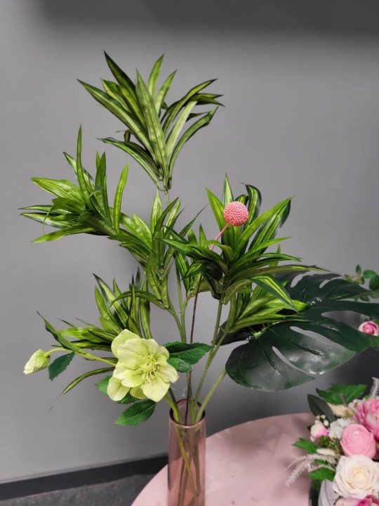 Dracea zaru kompozīcija ar vāzi 65cm photo #2