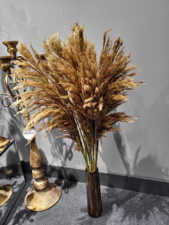 Stabilized sand in a 70cm vase photo #2