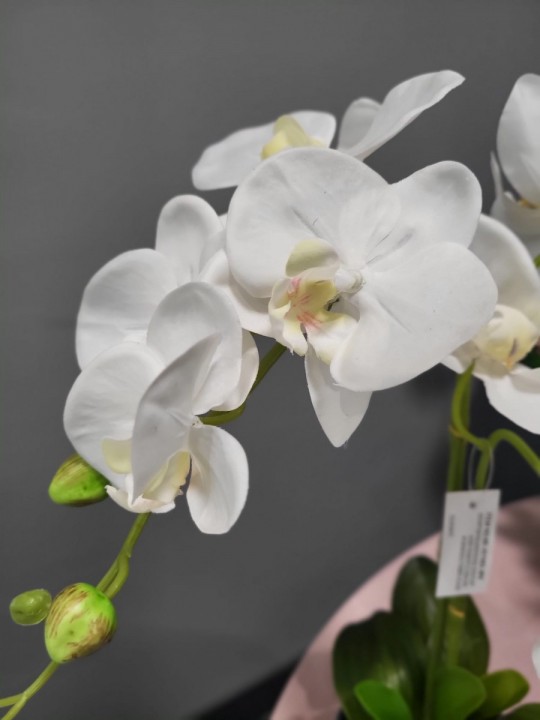 Mākslīgā orhideja podiņā 25cm photo #2