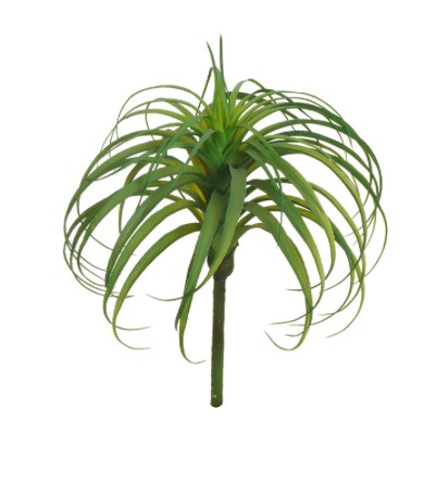 Mākslīgā Tilandsia photo #1