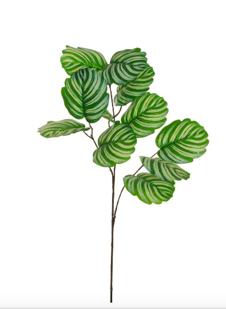 REAL TOUCH CALATHEA ORBIFOLIA, 83 CM. photo #1
