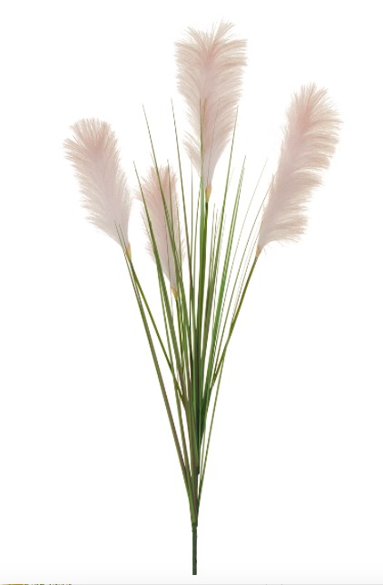 Pampas zars 135cm photo #1