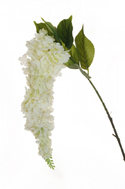 HORTENZIJAS ZARS 120 CM photo #1