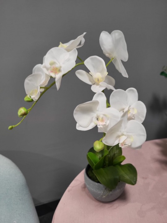 Mākslīgā orhideja podiņā 25cm photo #1