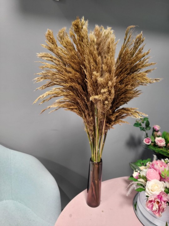 Stabilized sand in a 70cm vase photo #1