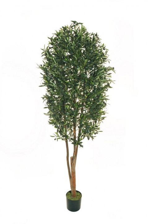 Olivkokes mākslīgais 210 CM. photo #1