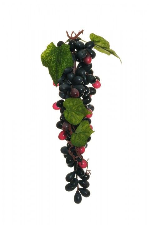 FINGER GRAPES 34 CM. photo #1
