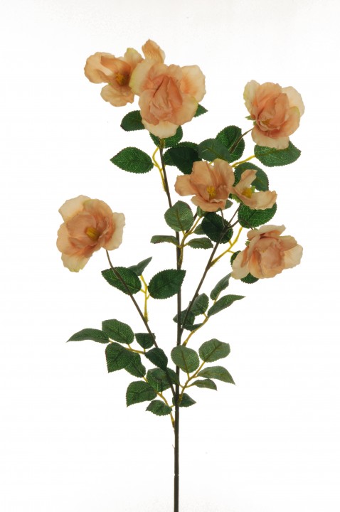 WILD GARDEN ROSE 80cm photo #1