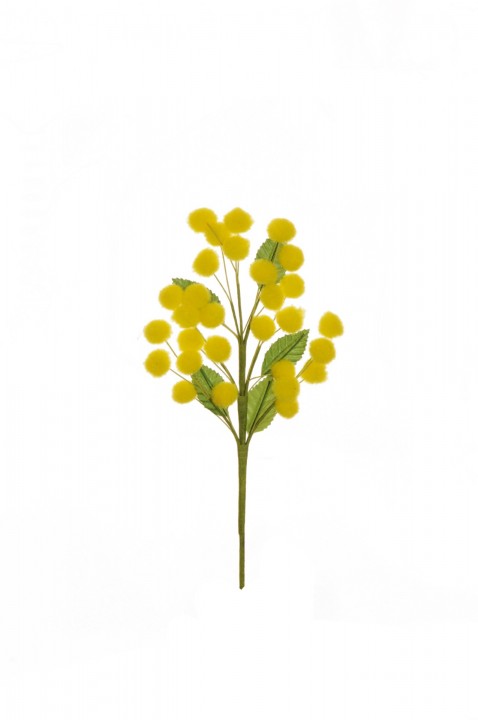MIMOSA PICK, 29 FLWS, 24CM. photo #1