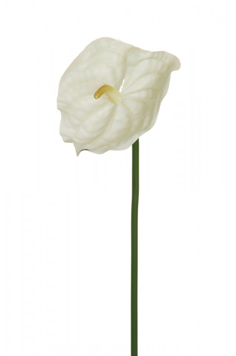 NEW ANTHURIUM REAL TOUCH, 56 CM. photo #1