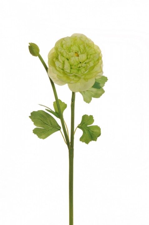 RANUNCULUS SPRAY  46 CM. photo #1