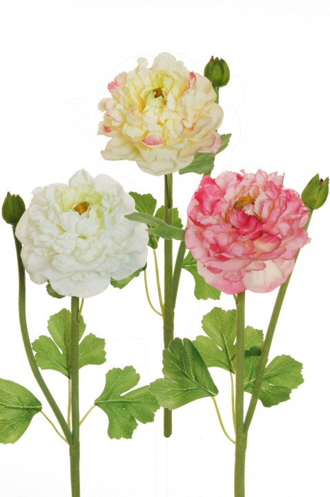 RANUNCULUS SPRAY  46 CM. photo #1