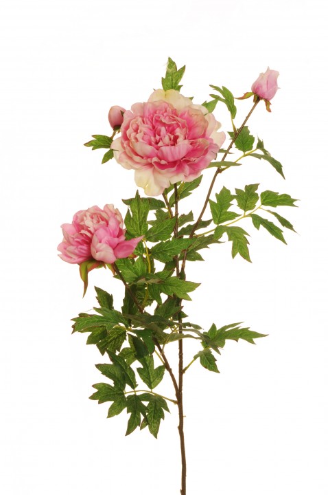 PEONY ARTIFICIAL SPRAY 85 CM photo #1