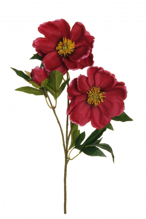 SATĪNA PEONIJAS ZARS 72 CM photo #1