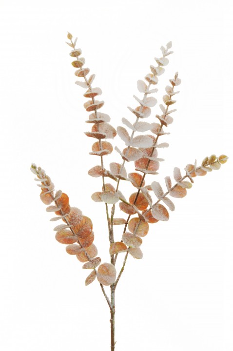 EUCALYPTUS JADE IMPRESSION SPRAY 75CM photo #1
