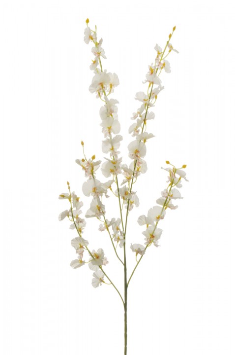 ONCIDIUM ORCHID SPRAY 89CM. photo #1