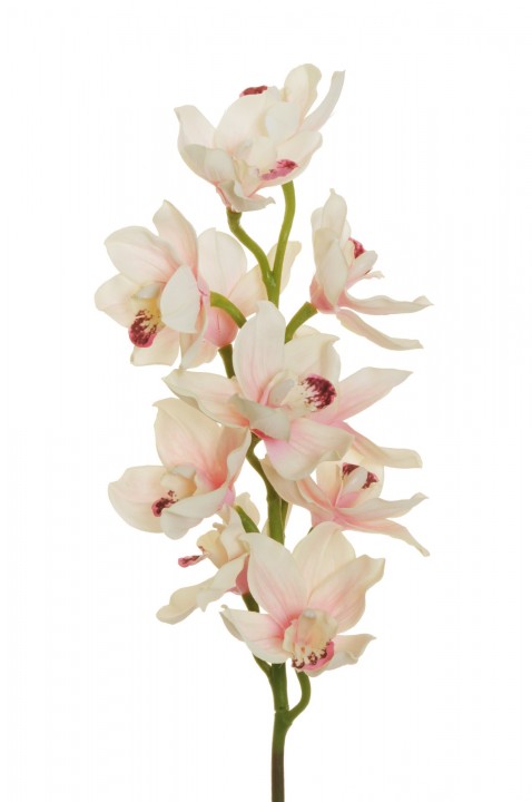 CYMBIDIUM POLYESTER 78CM. photo #1