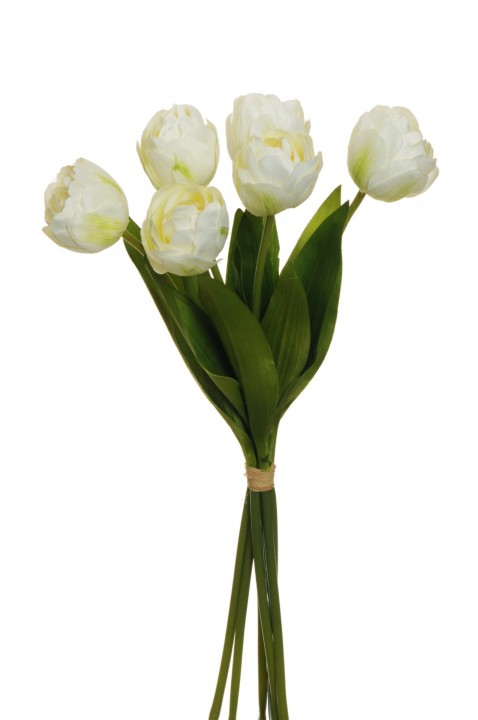 DUTCH TULIP BUNDLE  45 CM. photo #1