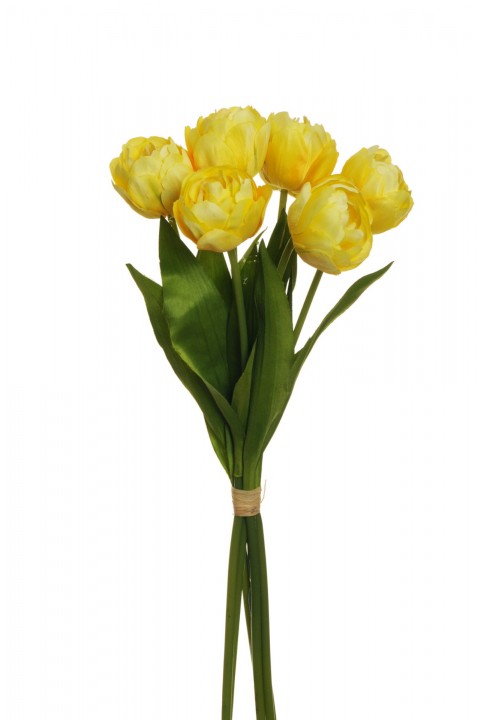 DUTCH TULIP BUNDLE  45 CM. photo #1