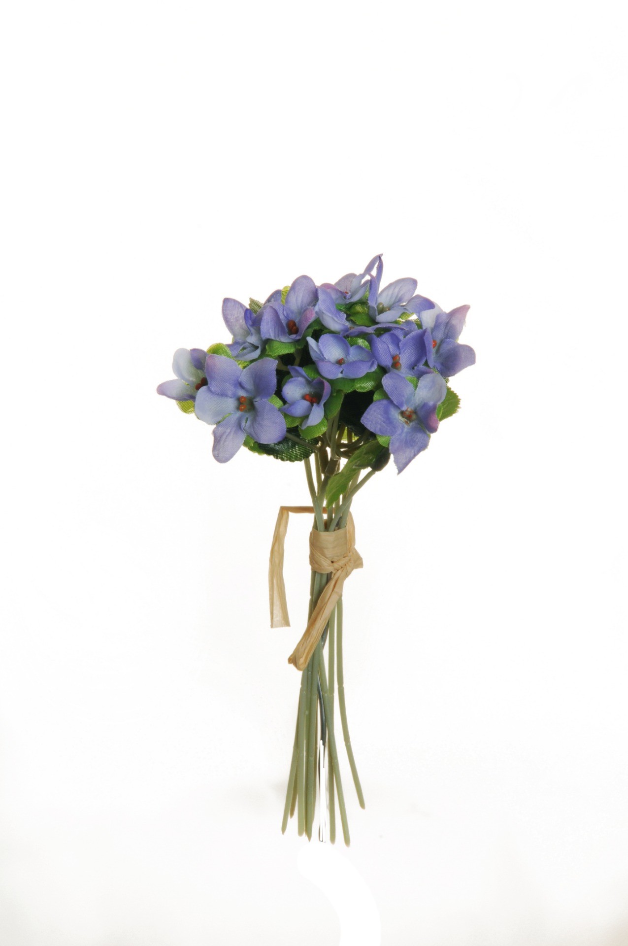 VIOLET BUNDLE 20 CM. Fioro