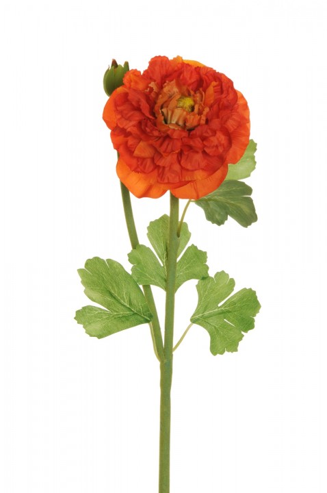 RANUNCULUS SPRAY 46 CM. photo #1