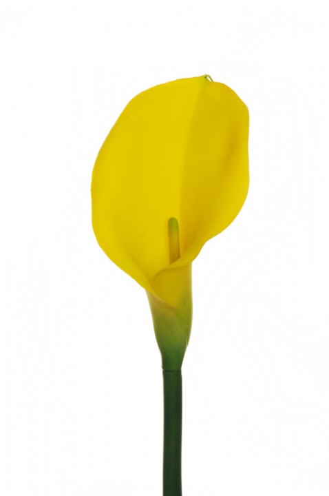 RUBBER CALLA LILY, 73 CM. photo #1