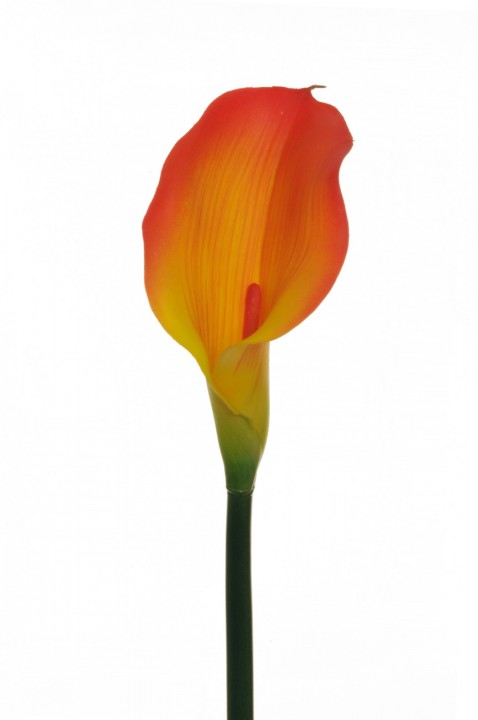 RUBBER CALLA LILY, 73 CM. photo #1