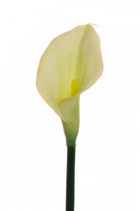 RUBBER CALLA LILY, 73 CM. photo #1