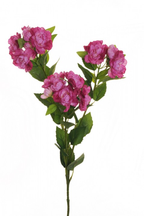 JAPANESE CAMELLIA SPRAY 81 CM. photo #1