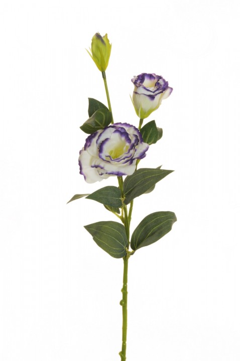 LISIANTHUS SPRAY  71 CM. photo #1