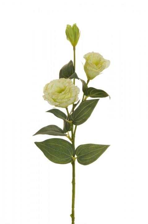 LISIANTHUS SPRAY  71 CM. photo #1