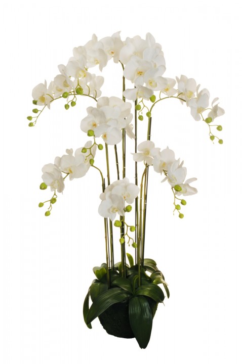 PHALAENOPSIS REAL TOUCH 125 CM. photo #1