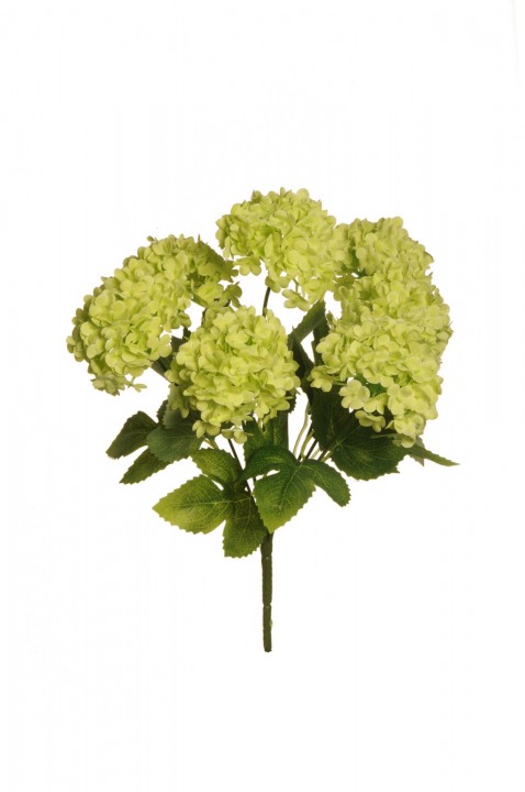 VIBURNUM BUSH 33 CM photo #1