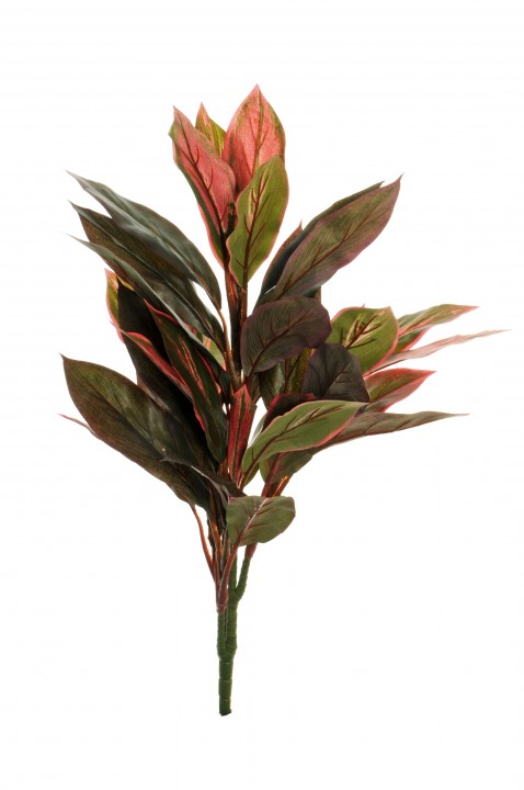 CORDYLINE LEAF 80CM. photo #1