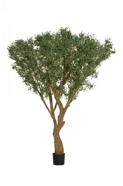 G-OLIVE UMBRELLA G-TREE  250 CM. photo #1