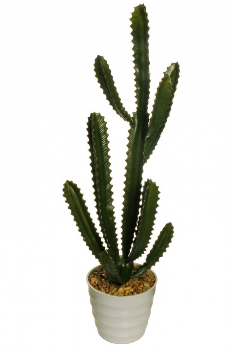 CACTUS 96 CM. photo #1