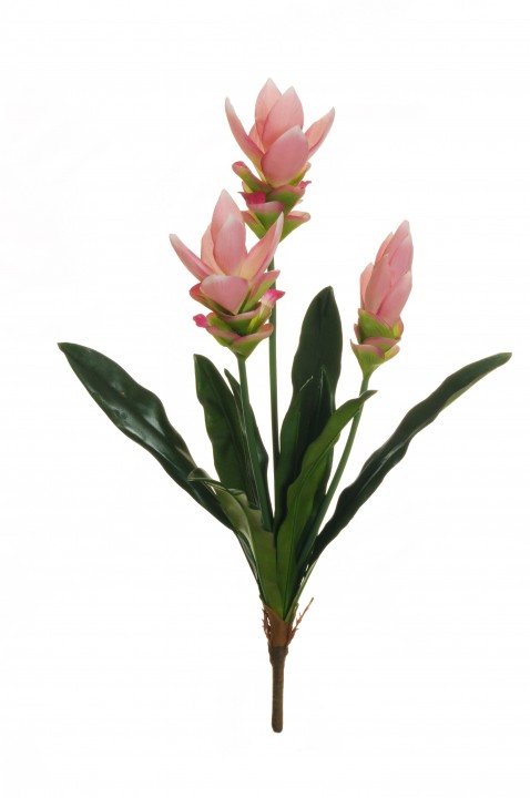 CURCUMA BUSH REAL TOUCH 62 CM. photo #1