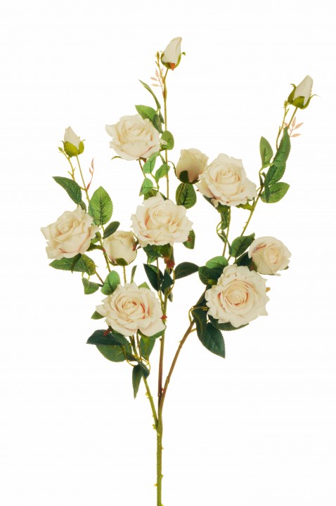 VELVET ROSE BRANCH photo #1