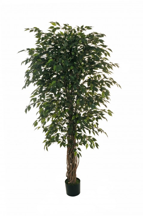 Фикус искусственный 180см photo #1