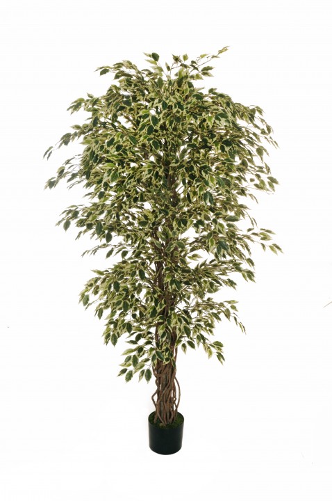Фикус искусственный 180см photo #1