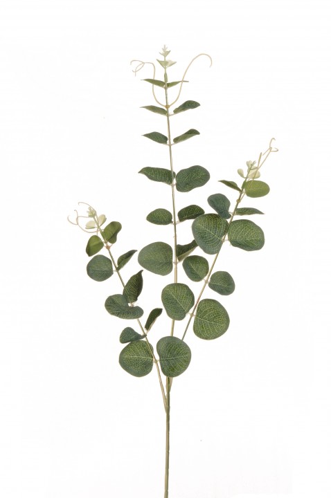 EUCALYPTUS SPRAY 64cm photo #1